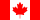 Canada She's a Shemale